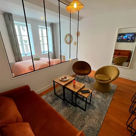 Apartamento élégant En Hypercentre Dans Le Quartier Historique Animé Avec Parking Gratuit
