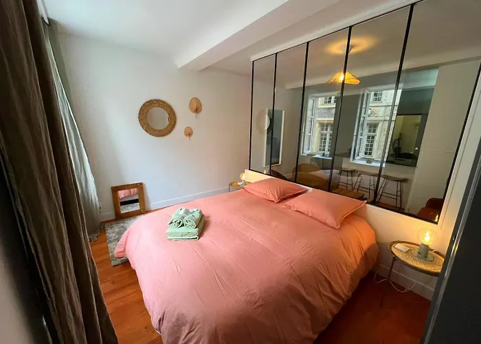 Daire Elegant En Hypercentre Dans Le Quartier Historique Anime Avec Parking Gratuit *