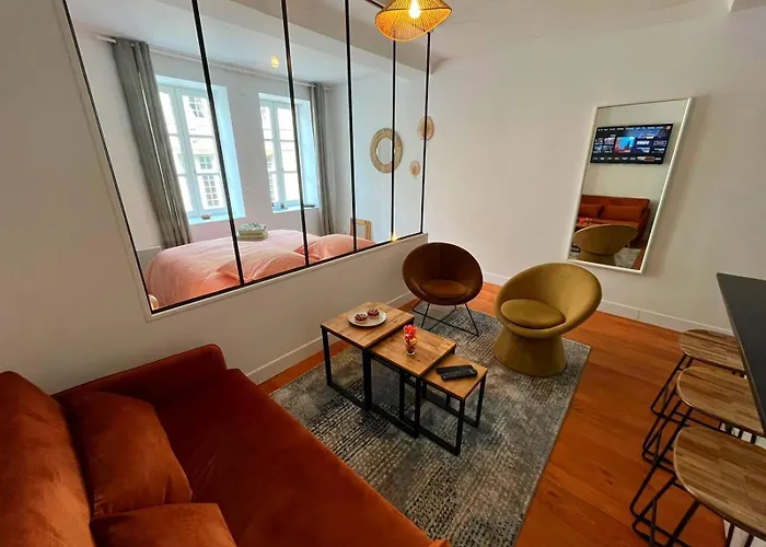 Daire Elegant En Hypercentre Dans Le Quartier Historique Anime Avec Parking Gratuit